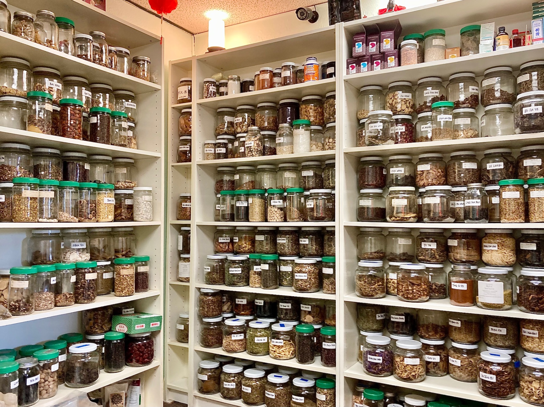 Bellingham Chinese Herb Pharmacy shelves with hundreds of herb jars